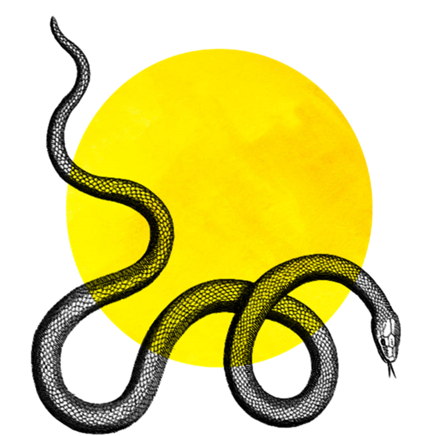 CISM 89.3 : Travaux érotiques:CISM 89.3 CISM 89.3 : Travaux érotiques:CISM 89.3