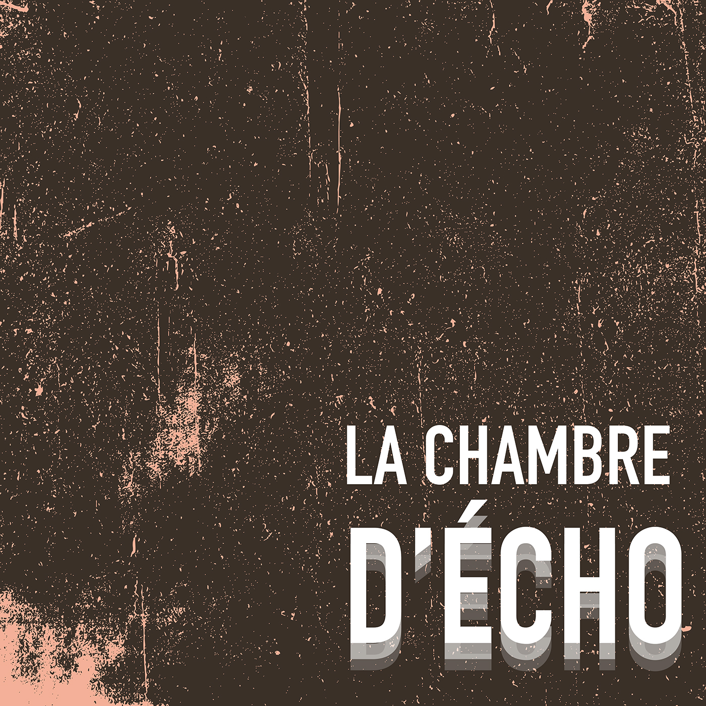 CISM 89.3 : La chambre d'écho podcast artwork
